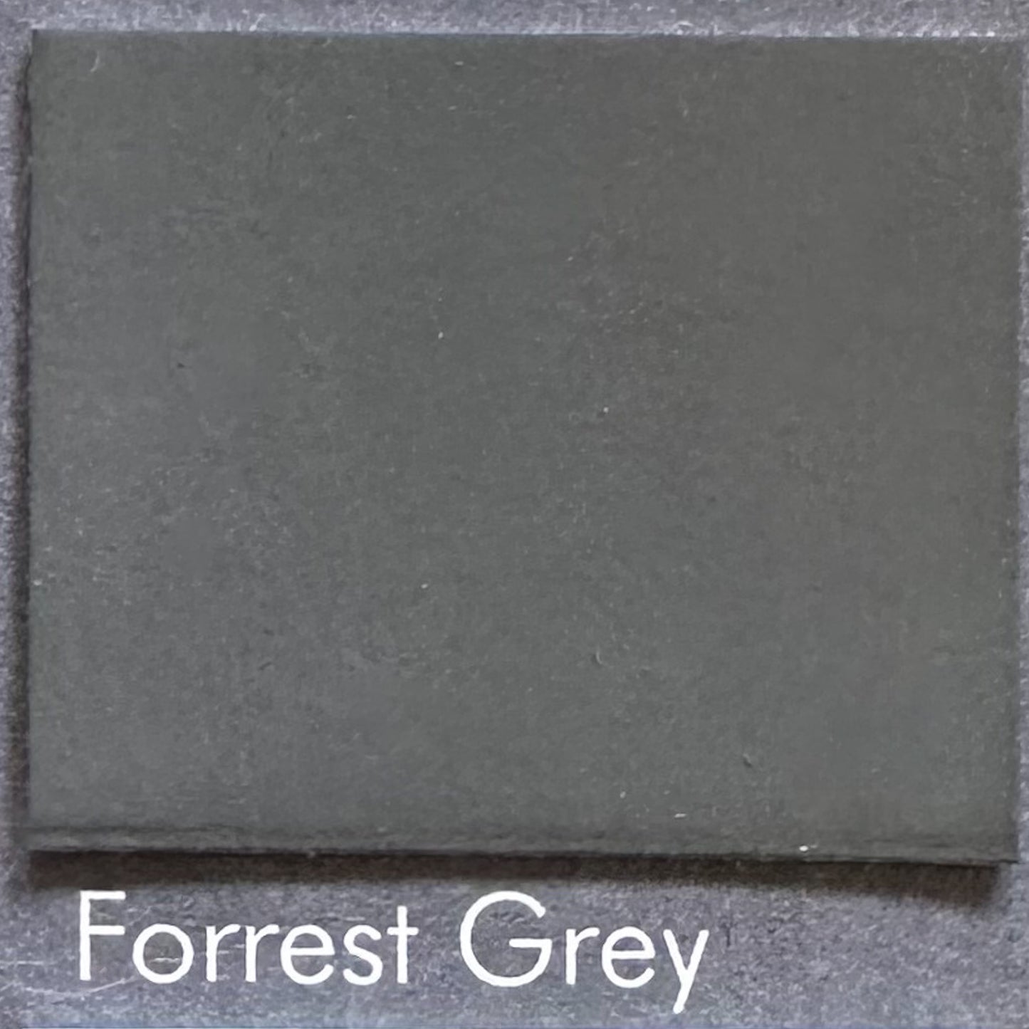 Forrest Grey – Abendliches Waldgrau