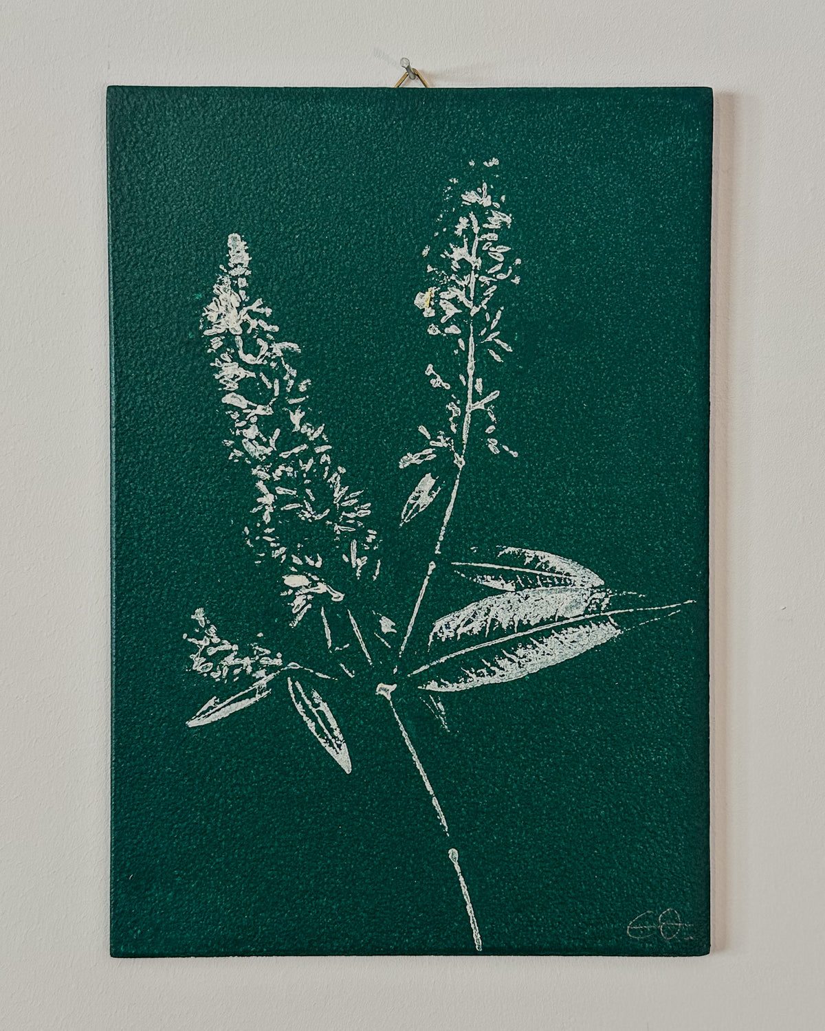Botanische Monodrucke | Handgemachte Unikate