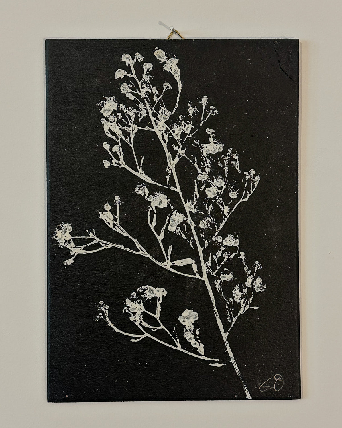 Botanische Monodrucke | Handgemachte Unikate