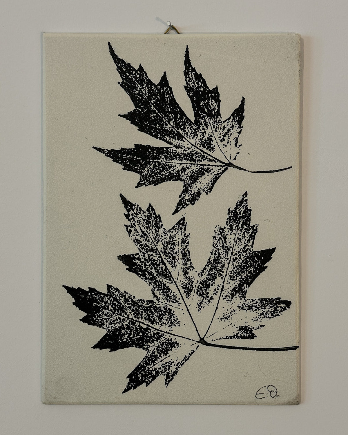 Botanische Monodrucke | Handgemachte Unikate