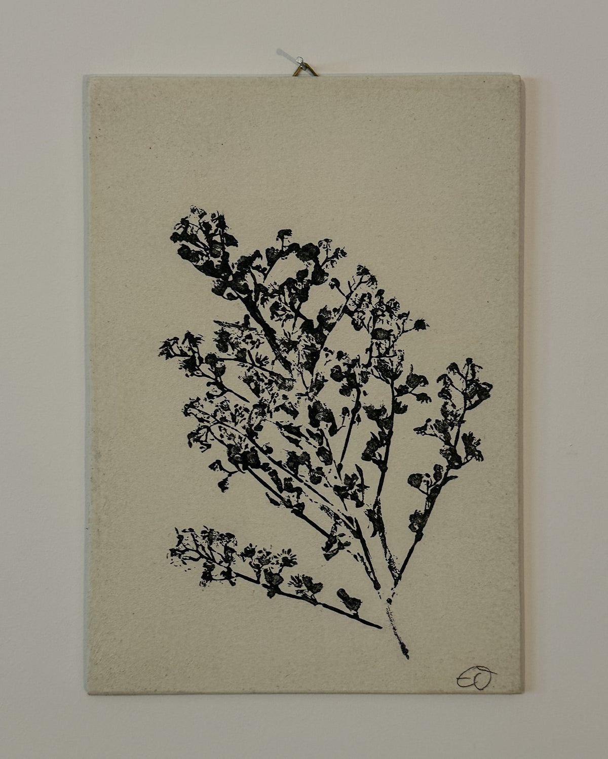 Botanische Monodrucke | Handgemachte Unikate