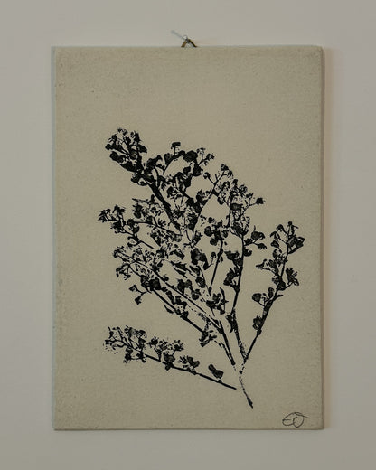 Botanische Monodrucke | Handgemachte Unikate