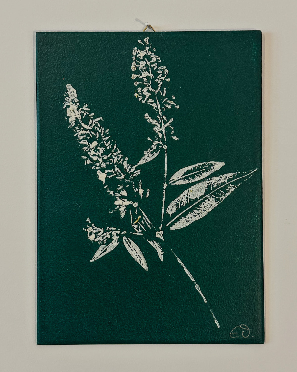 Botanische Monodrucke | Handgemachte Unikate