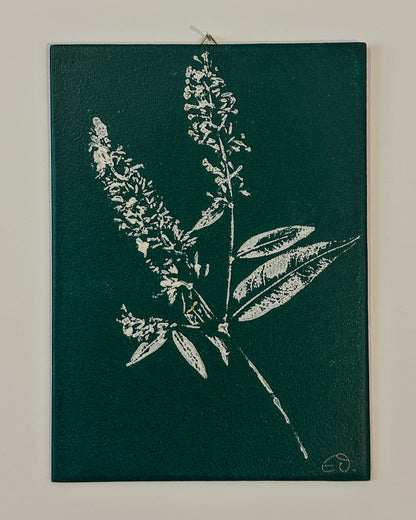 Botanische Monodrucke | Handgemachte Unikate