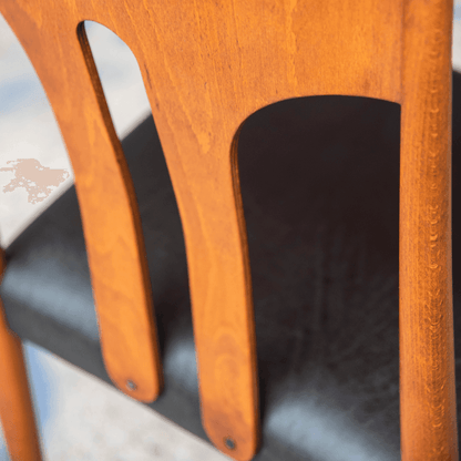 Däne mit Upcyclingleder - Werkstattfürschönes